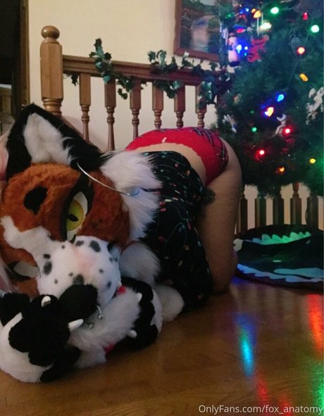 fox anatomy model sexy archive