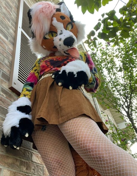 fox anatomy hot actress gallery