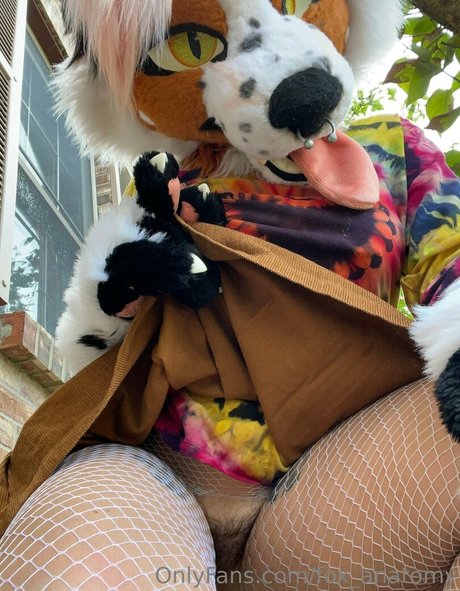 fox anatomy nice actress picture