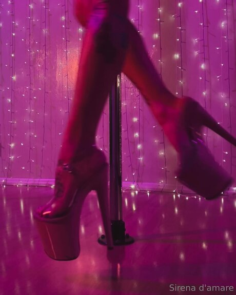 Sirenadamare star perfect archive