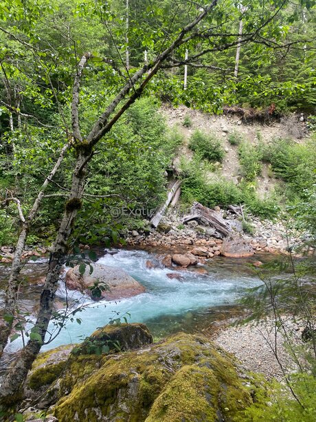 yoga asian onlyfans nude pics