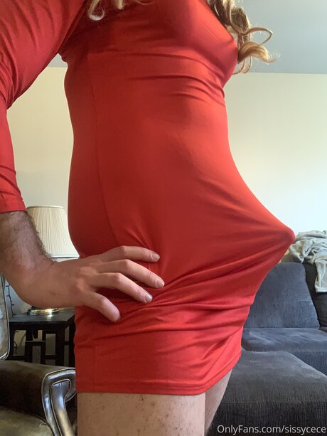 Sissycece star beautiful pictures