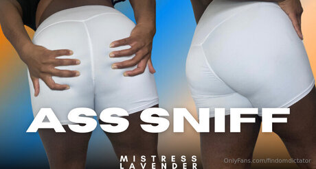 Findomdictator pornstar naked galleries