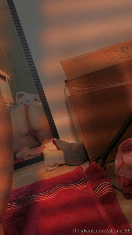 curvy shemale onlyfans sex galleries