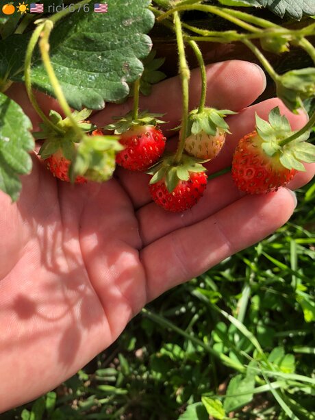 perky tits onlyfans sexy nudes gallery