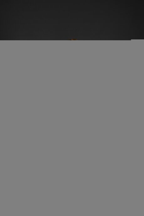 Funkymefree model nude pictures