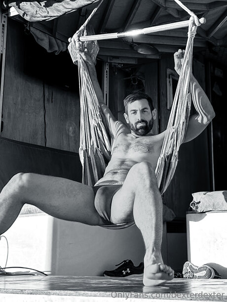 Dexterdexter high quality star galleries