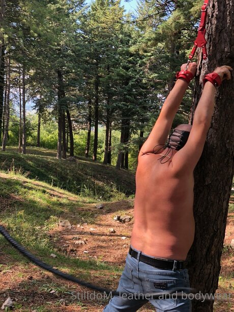 Stilldom star beautiful pic