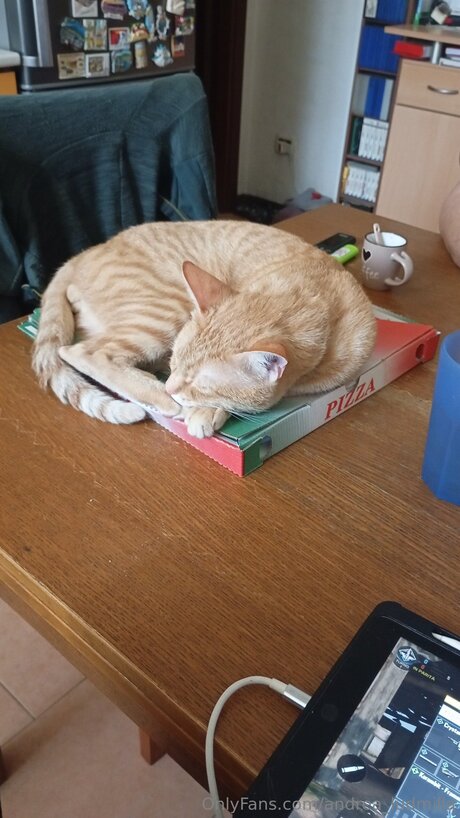 Andrea Ludmilla pornstar beautiful pic