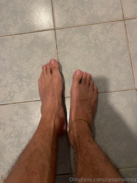 Cesarnorena nudes star photo