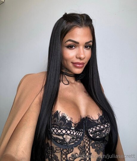 Juliasecrett art star gallery