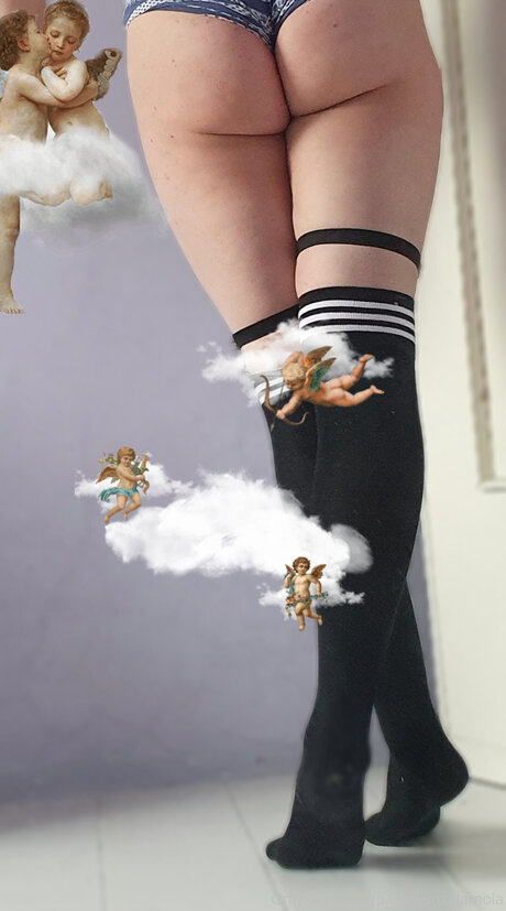 Padelleinsalamoia star adult photo