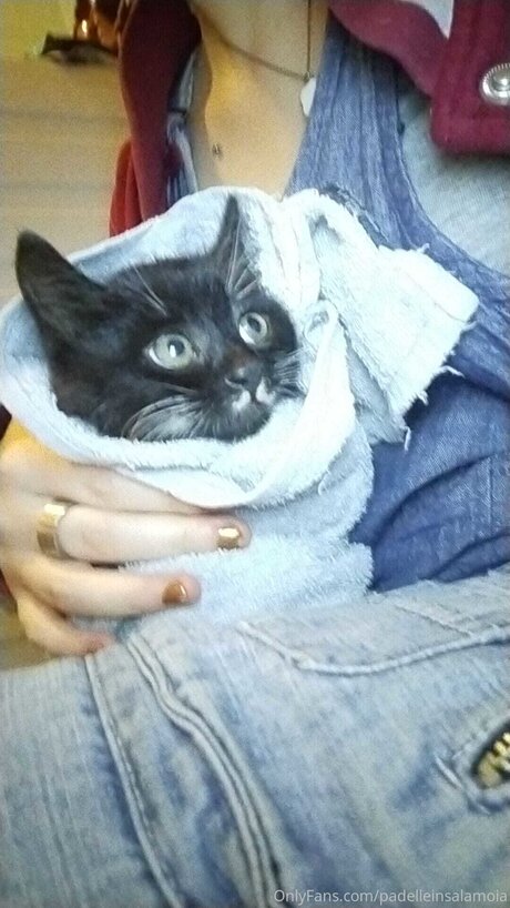 Padelleinsalamoia pornographic model pics