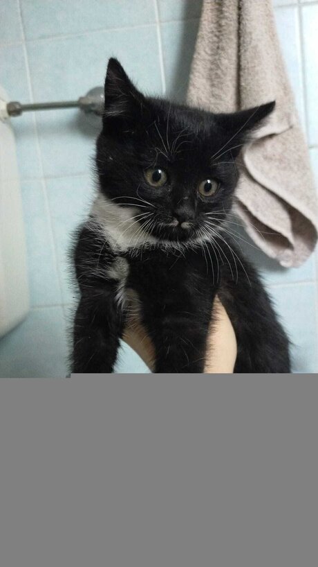 Padelleinsalamoia xxx actress photos