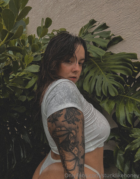 Stucklikehoney pornographic star image