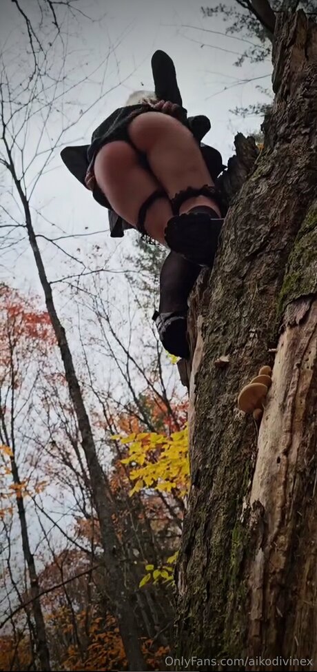 Aikodivinex model free pictures