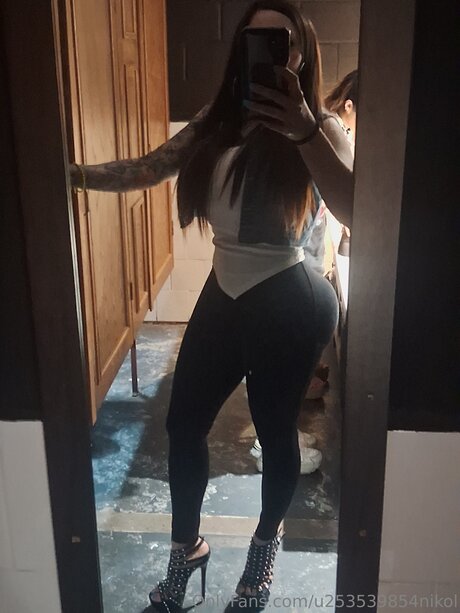 U253539854nikol pornstar art pic