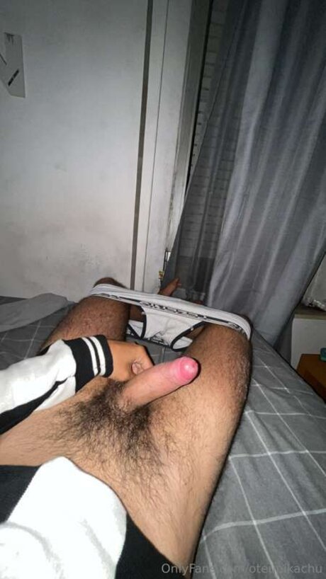 Oteupikachu model free photo