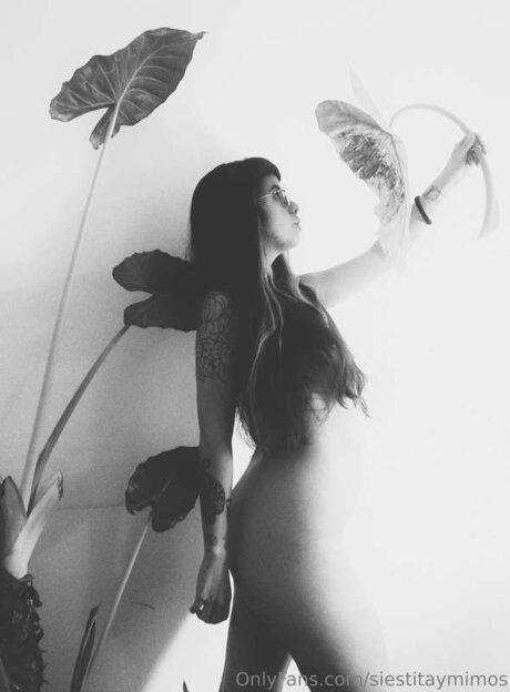 Siestitaymimos nudes actress image