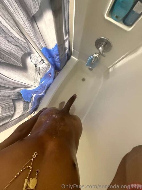 Somodalonglegg beautiful star pic