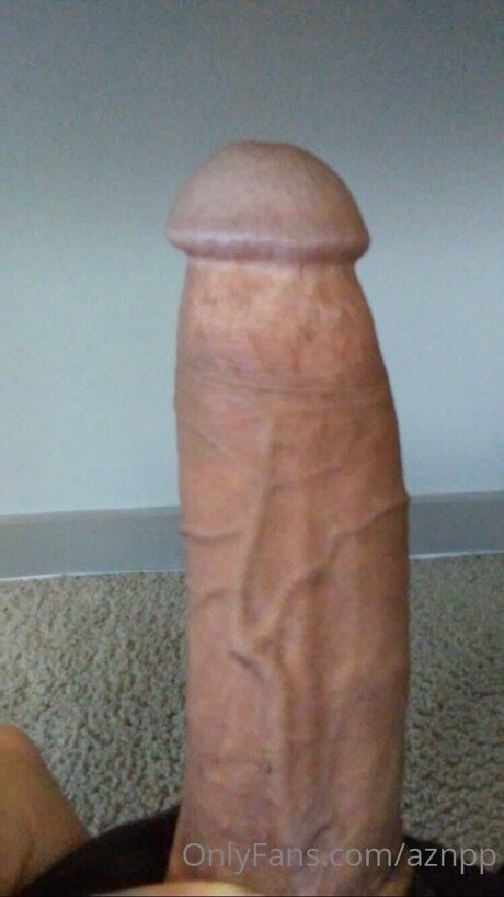 Aznpp model sex photo