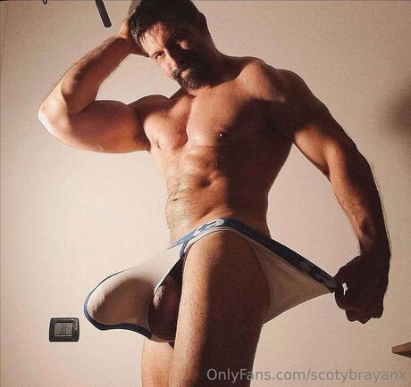Scotybrayanx pornstar free galleries