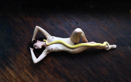 Whitney Masters model art images