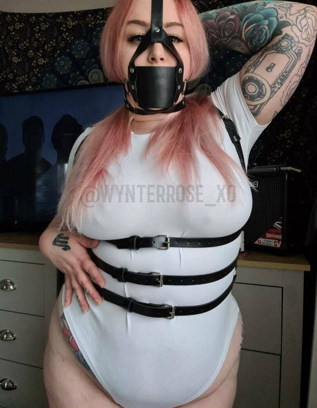 thebbwbible Profile Pic