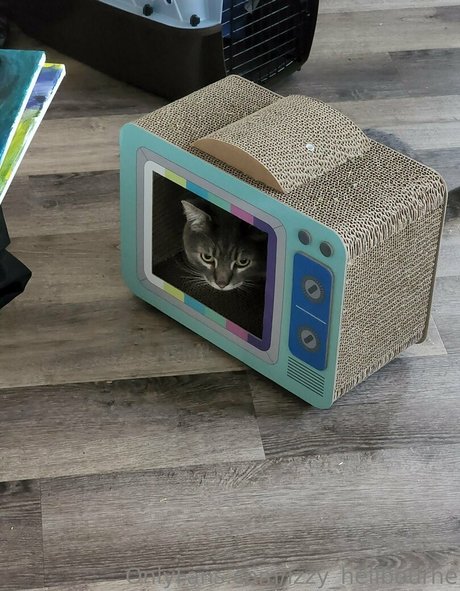 wife onlyfans best img