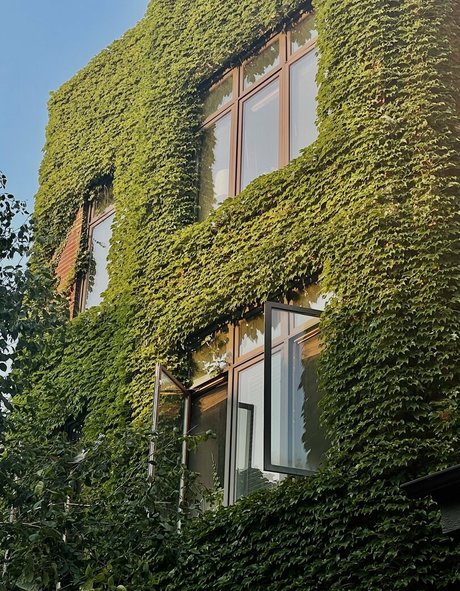 gay ginger onlyfans pornos picture