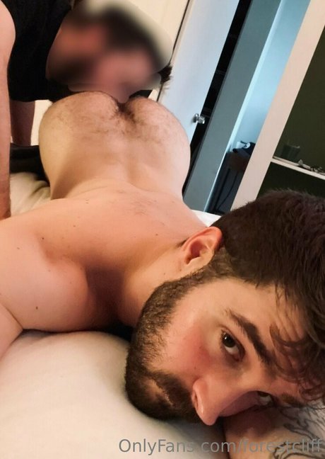 forestcliff perfect star images