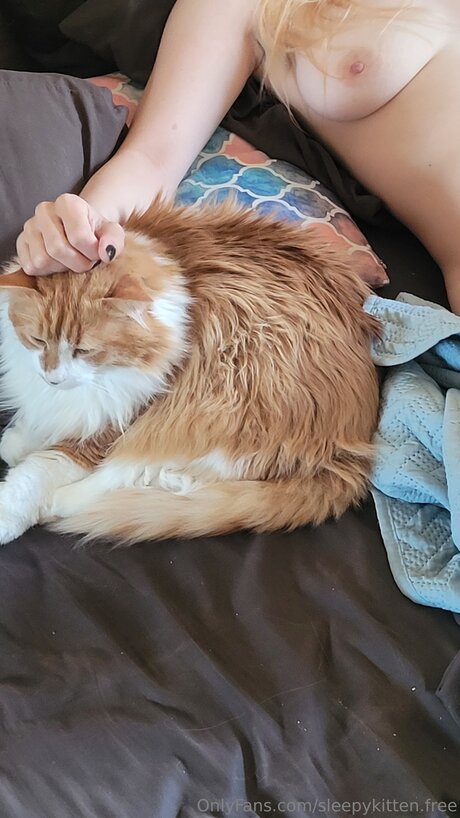 Sleepykitten Free nice star picture