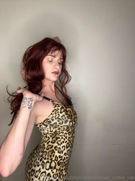 Crossdresser Cutie Vip nice pornstar galleries