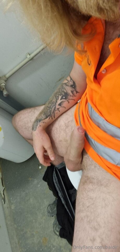 Baldir xxx pornstar gallery