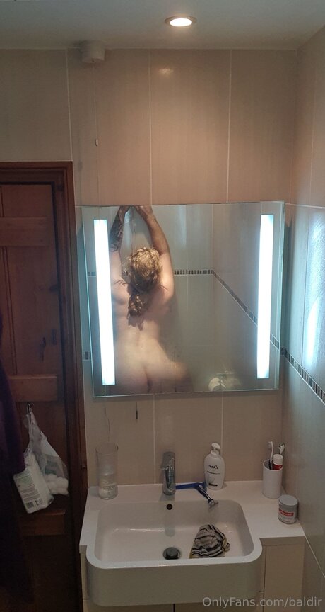 Baldir model art img