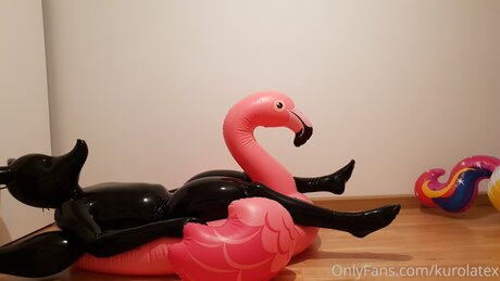 black cuckold onlyfans perfect picture