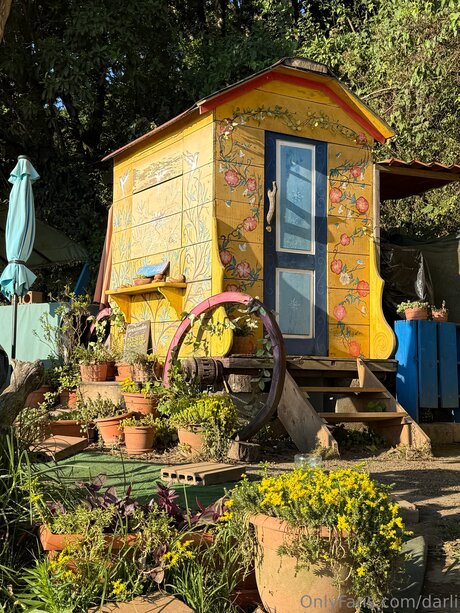 trans free onlyfans sexy nude pictures