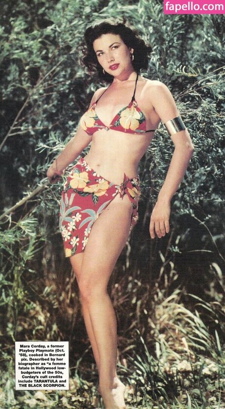 pornstars onlyfans free porn images