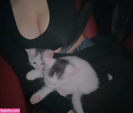 sloppy blowjob onlyfans porn images