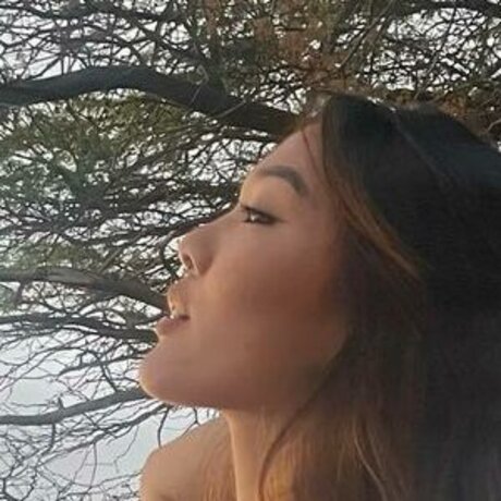 My Tien Tran porn star image