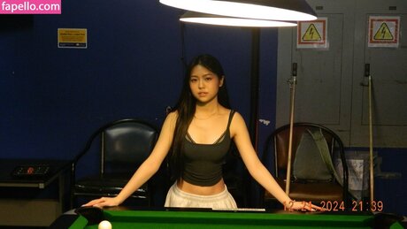 aishlvsu perfect model gallery