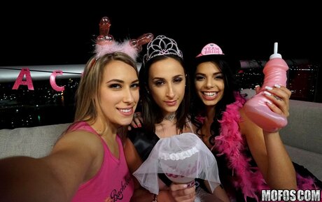 gina adams star archive