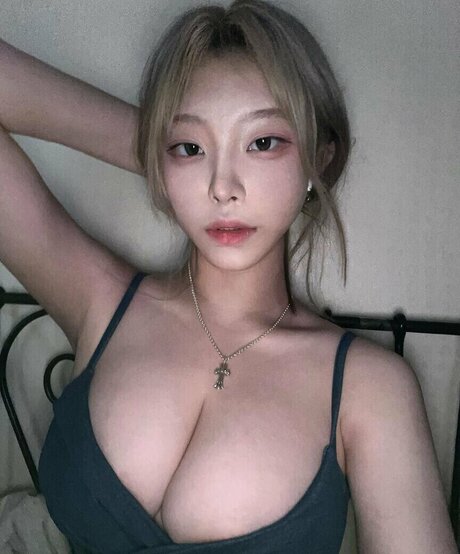 Foamharin top pornstar galleries