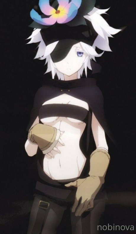 nobinova pornstar best pictures