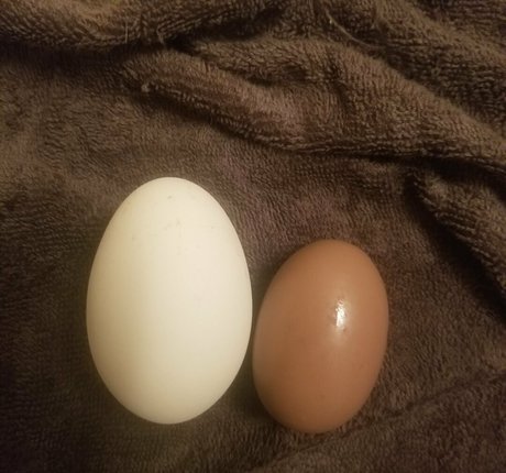 taranyiff model exclusive pictures