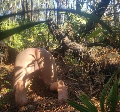 taranyiff star beautiful galleries