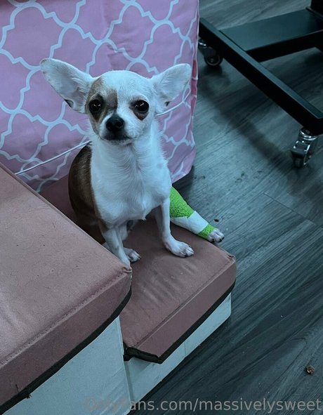 gay ginger onlyfans beautiful xxx pic