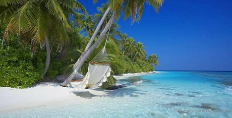 thedakotaa high quality pornstar image