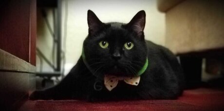 pink hair onlyfans free naked img