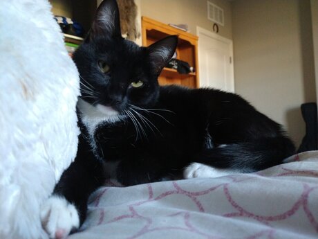 Liz 3 pornstar pretty photos